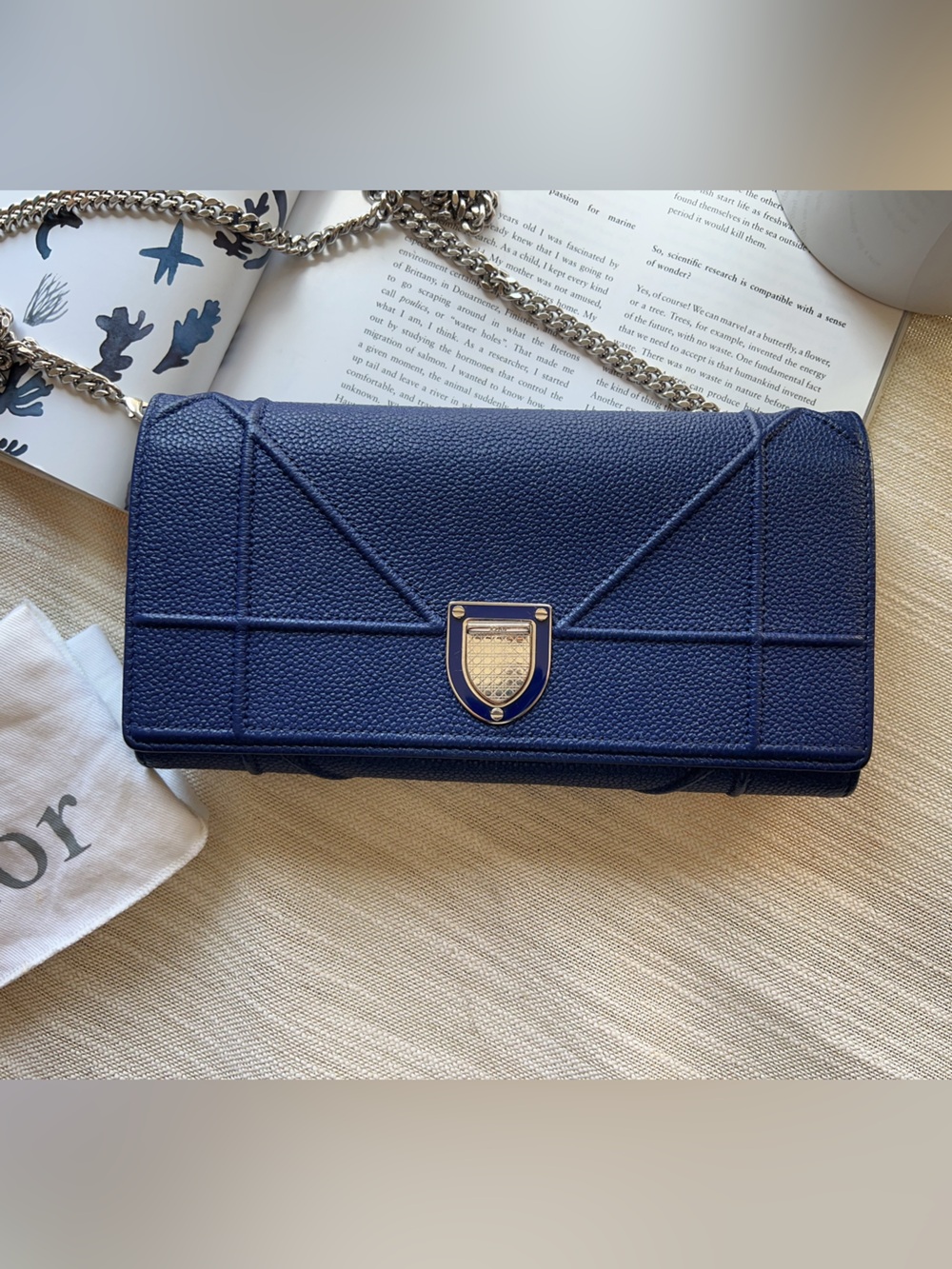 Dior Navy Blue Leather Diorama Wallet On Chain